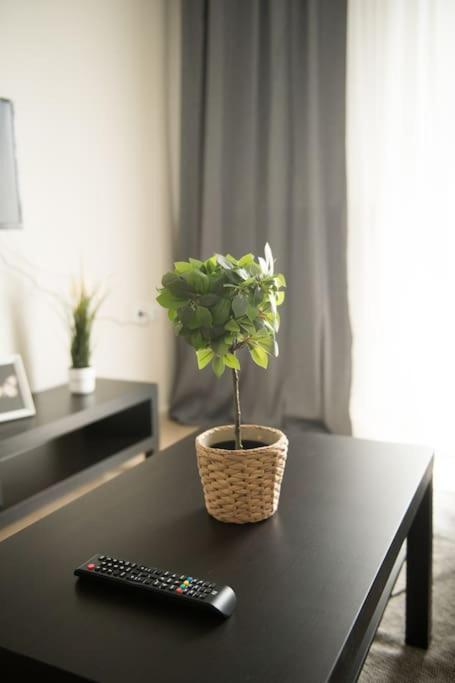 Apartment Markopoulosapartments *